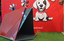 Glass doghouse by Blindex
