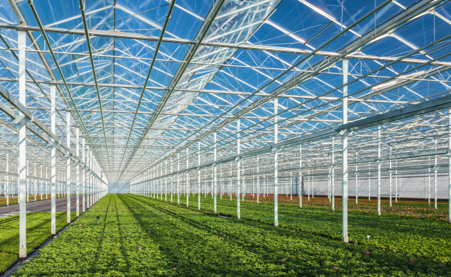Greenhouse