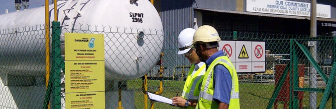 Environmental Audit at an NSG plant