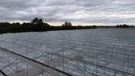 Aerial shot of greenhouse