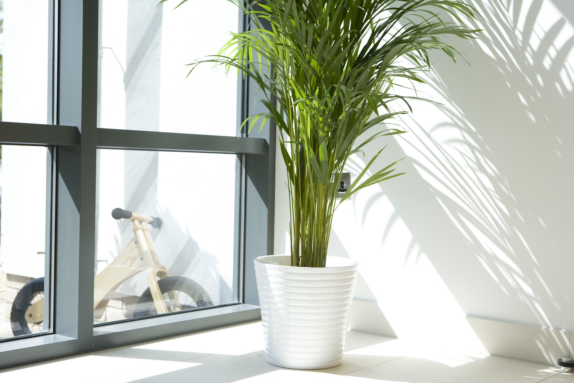 szkło prezciwsłoneczne