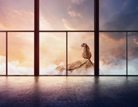 Pilkington Mirai low carbon glass