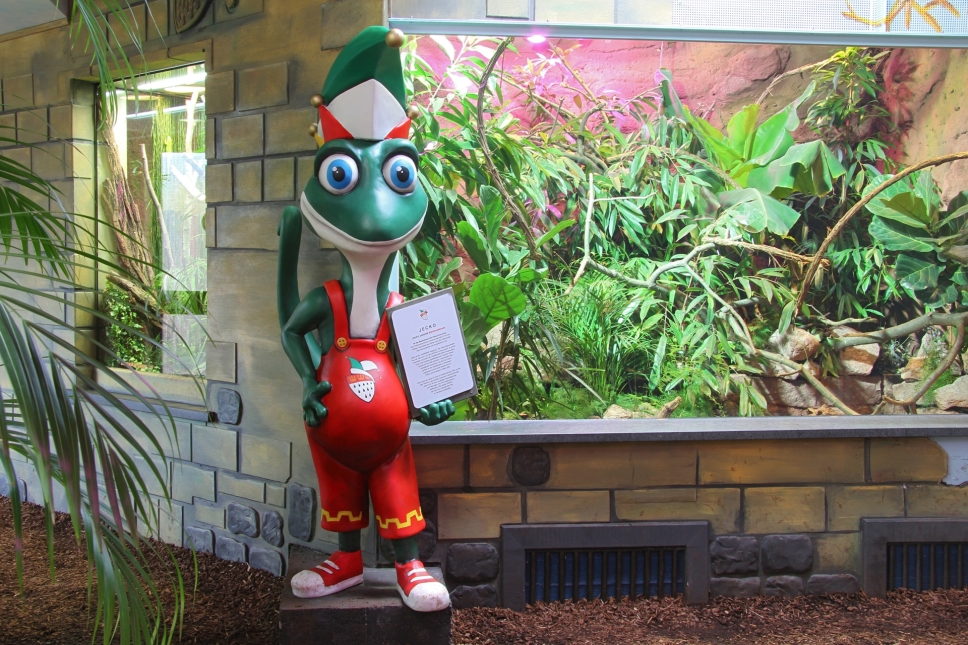 Geckos at Cologne Zoo